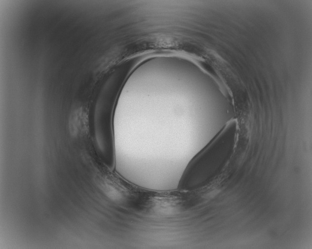 X0000068830556200605191902