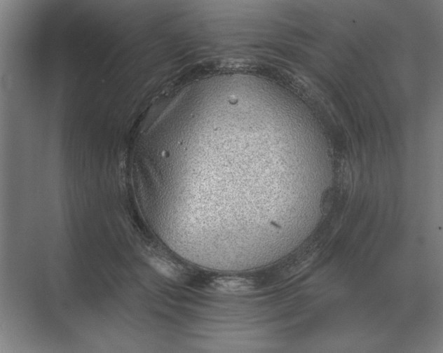 X0000068830557200605191902