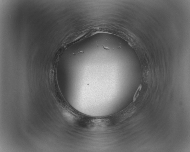 X0000068830558200605191902