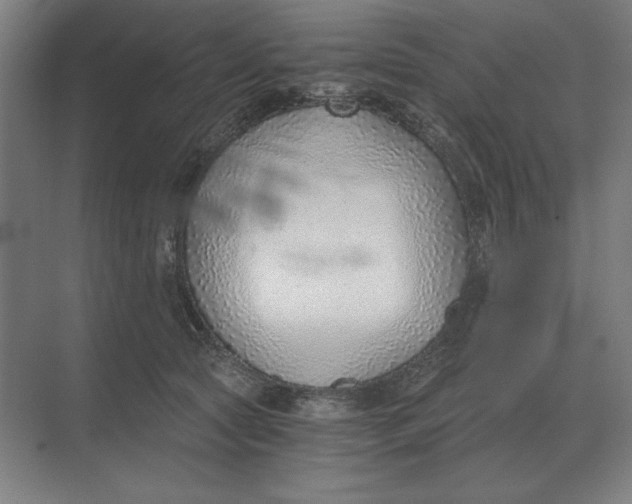 X0000068830561200605191902