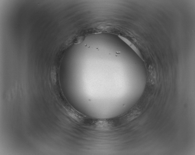 X0000068830562200605191902