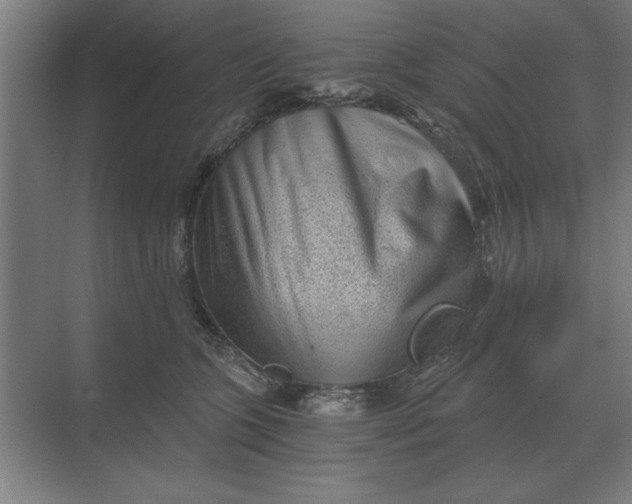 X0000068830563200605191902