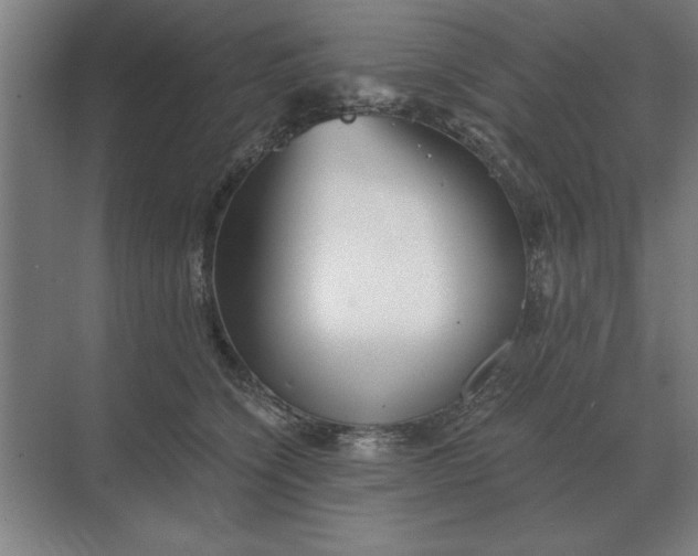 X0000068830564200605191902