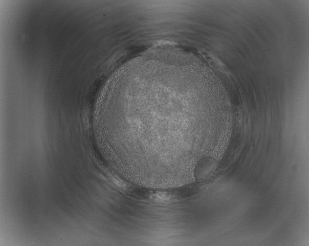 X0000068830565200605191902