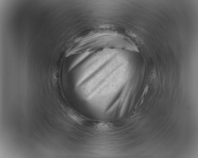 X0000068830566200605191902