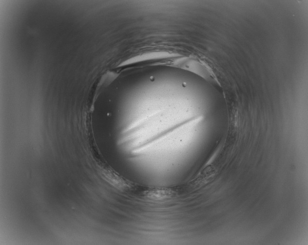 X0000068830567200605191902