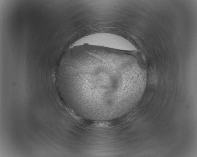 X0000068830569200605191902