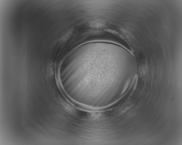 X0000068830570200605191902