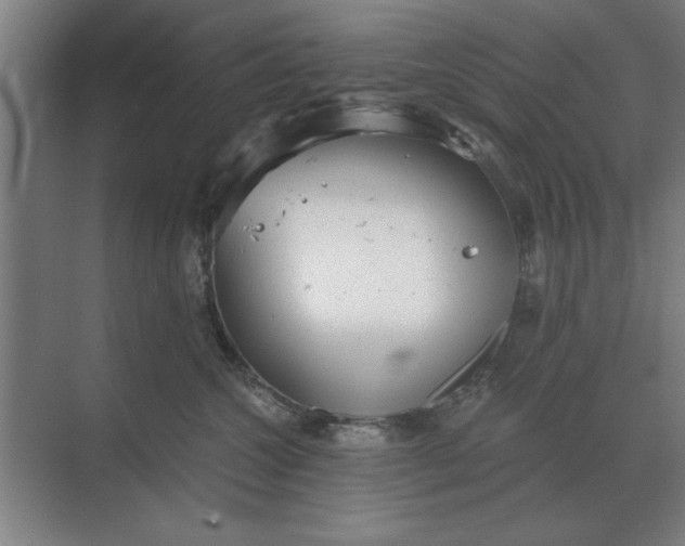 X0000068830572200605191902