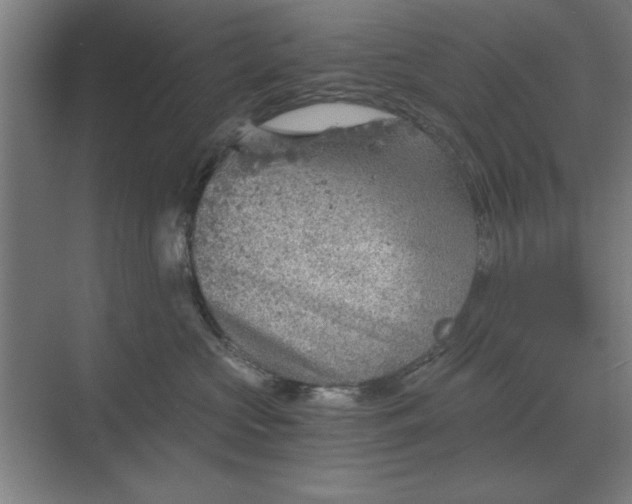 X0000068830573200605191902