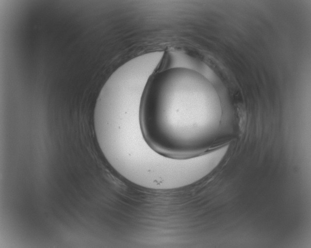 X0000068830574200605191902