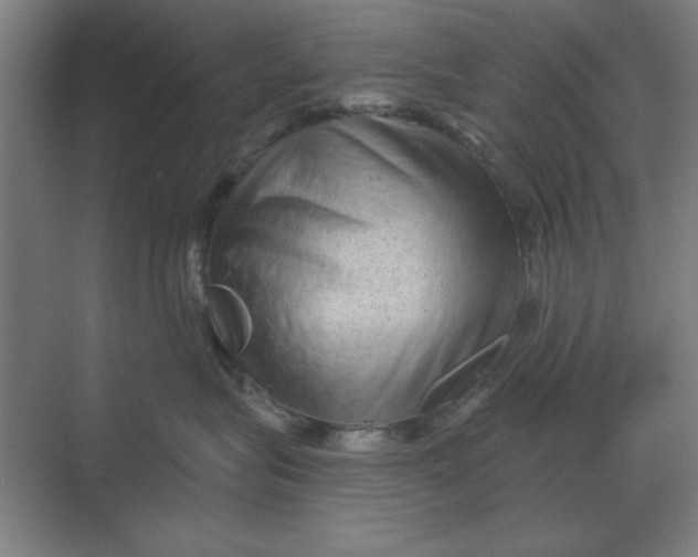 X0000068830575200605191902