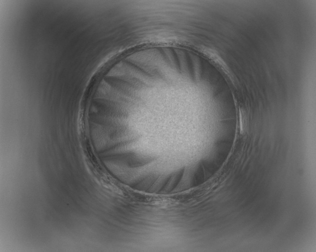 X0000068830579200605191901