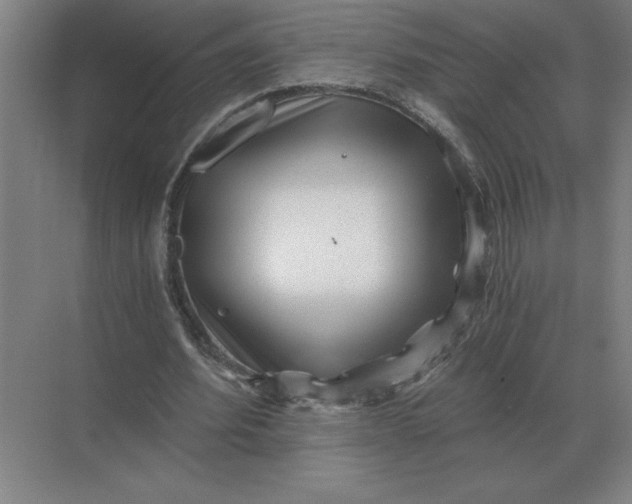 X0000068830580200605191901