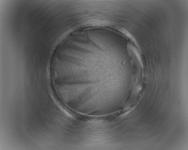 X0000068830581200605191901