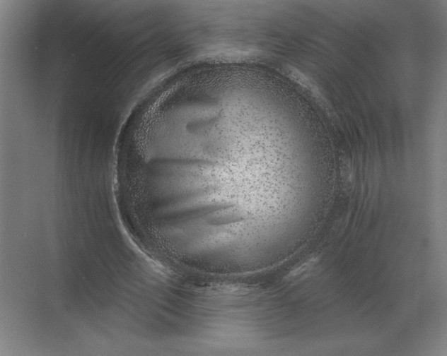 X0000068830582200605191901