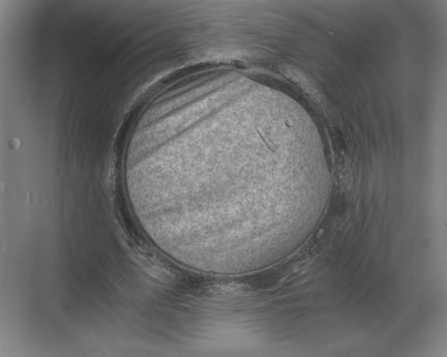 X0000068830583200605191901