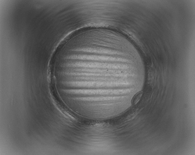 X0000068830584200605191901