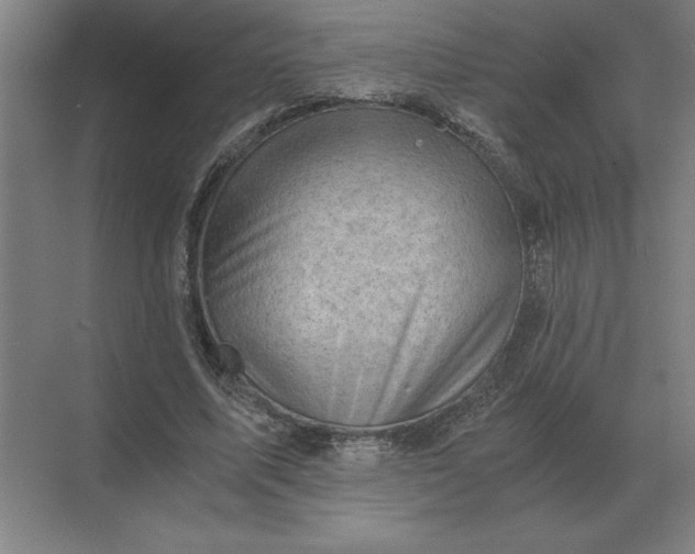 X0000068830587200605191901