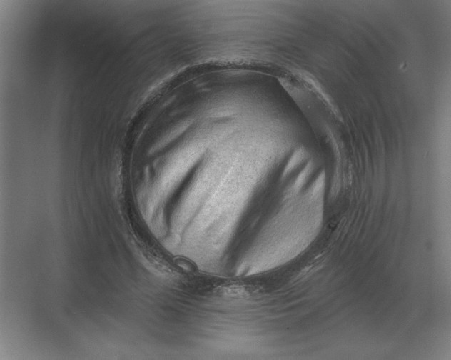 X0000068830588200605191901