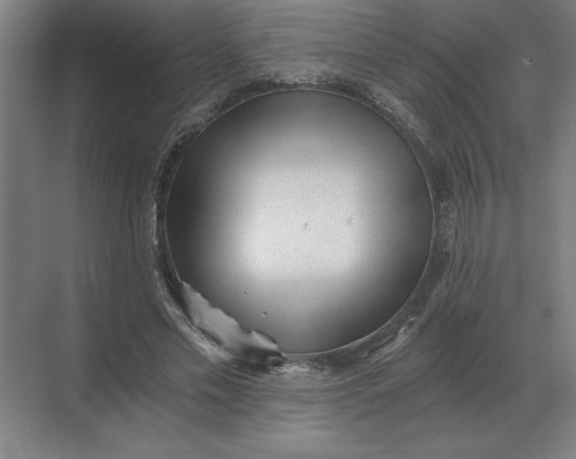 X0000068830589200605191901