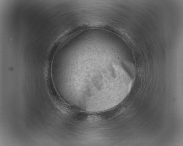 X0000068830591200605191901