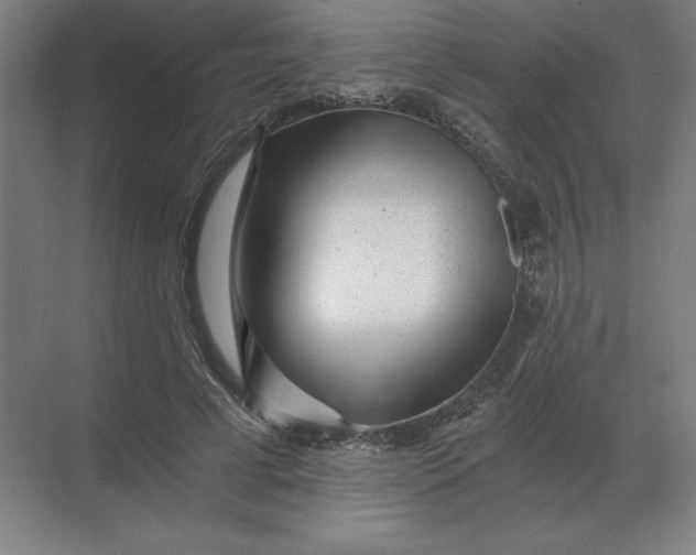 X0000068830593200605191901