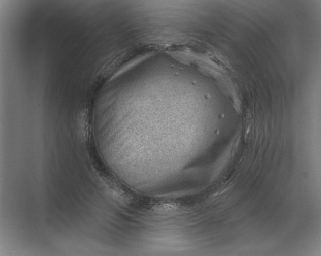 X0000068830594200605191901