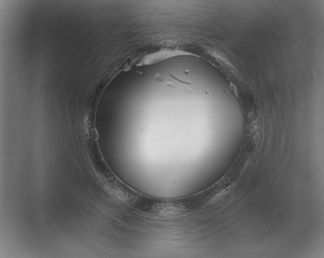 X0000068830597200605191901