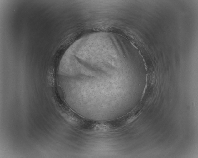 X0000068830599200605191901