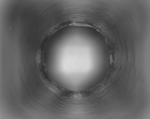 X0000068830600200605191901