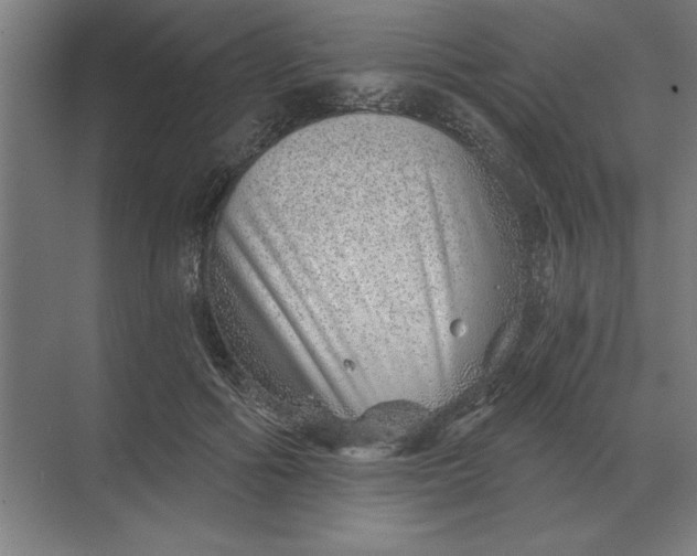 X0000068830602200605191901