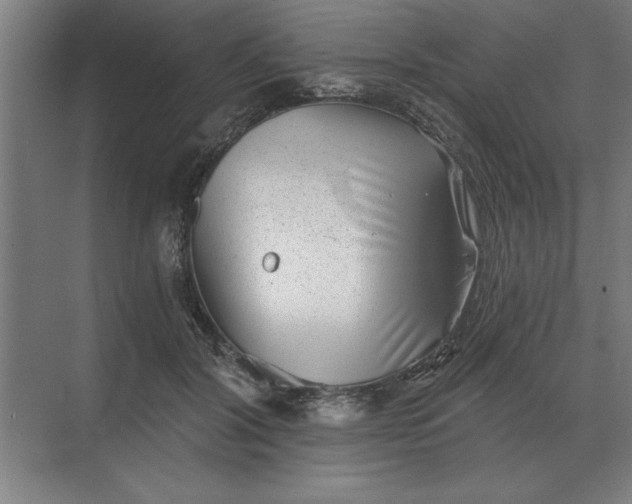 X0000068830604200605191901