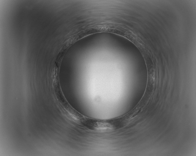 X0000068830605200605191901