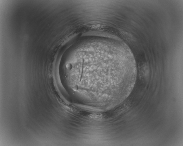 X0000068830606200605191901