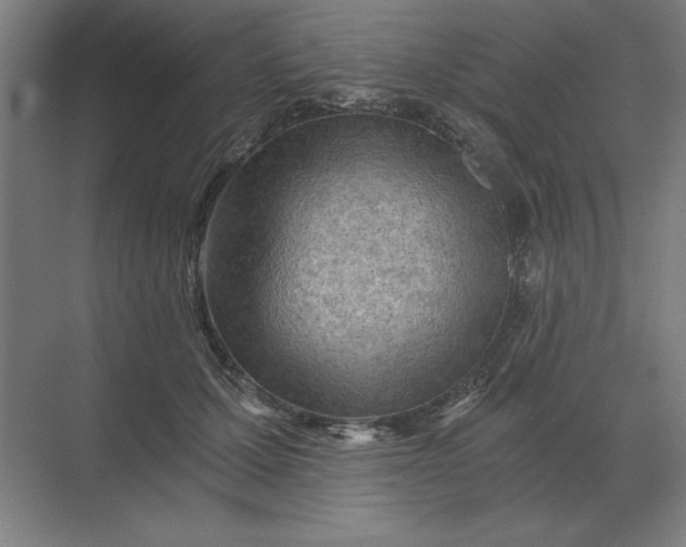 X0000068830607200605191901