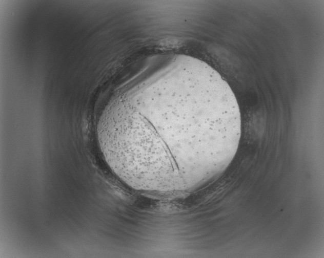 X0000068830608200605191901