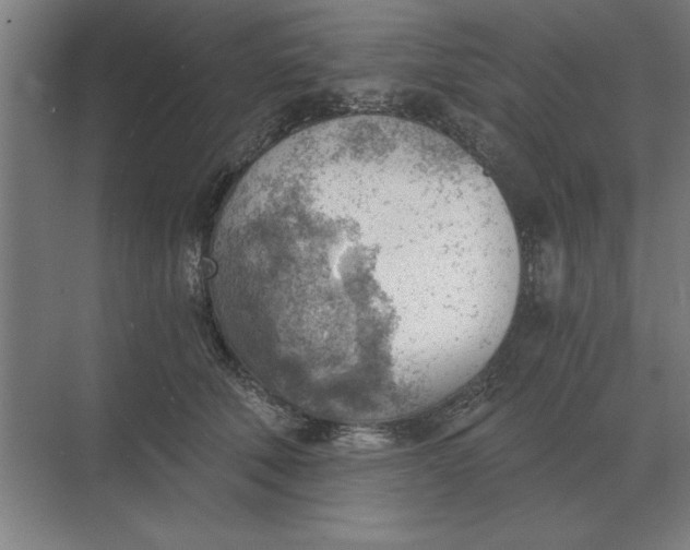 X0000068830610200605191901