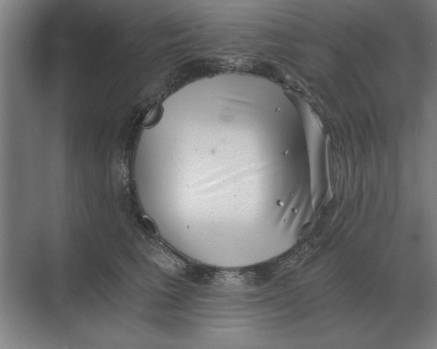 X0000068830613200605191901