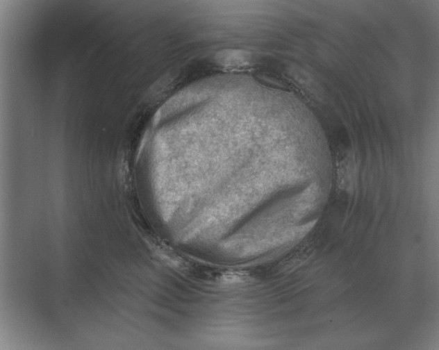 X0000068830618200605191900