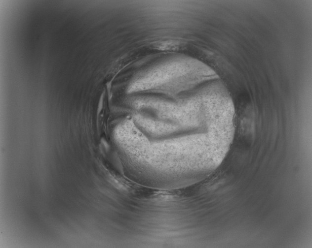 X0000068830620200605191900