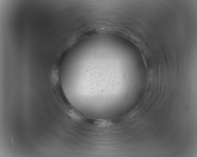 X0000068830621200605191900