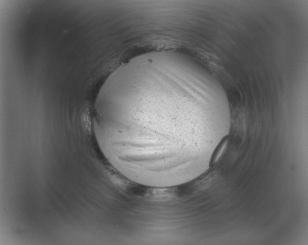 X0000068830622200605191900