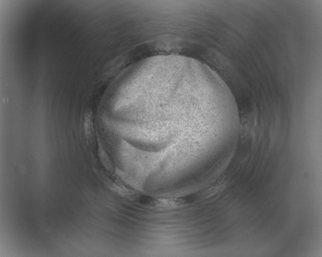 X0000068830623200605191900