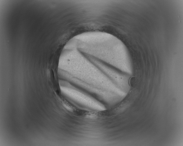 X0000068830624200605191900