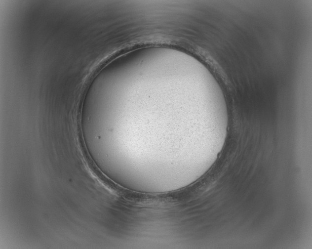 X0000068830625200605191900