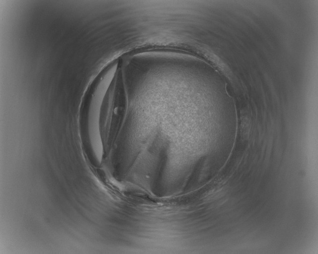 X0000068830626200605191900