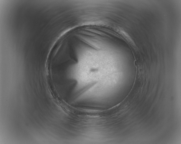 X0000068830628200605191900