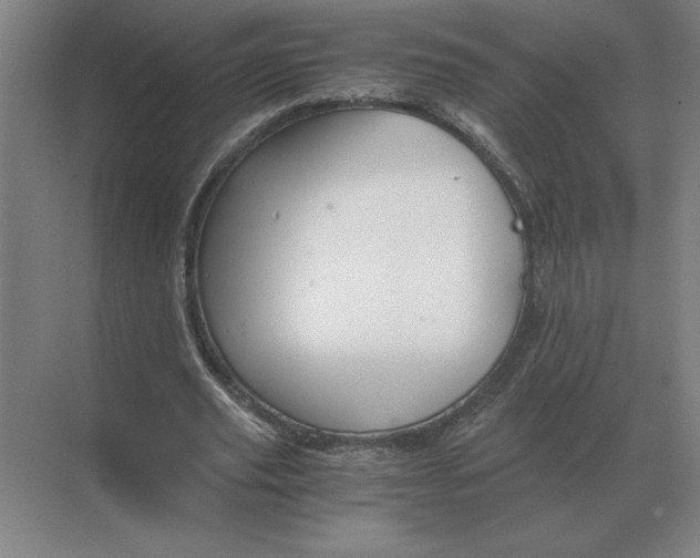 X0000068830629200605191900