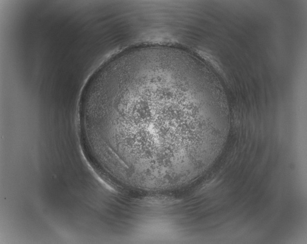 X0000068830630200605191900